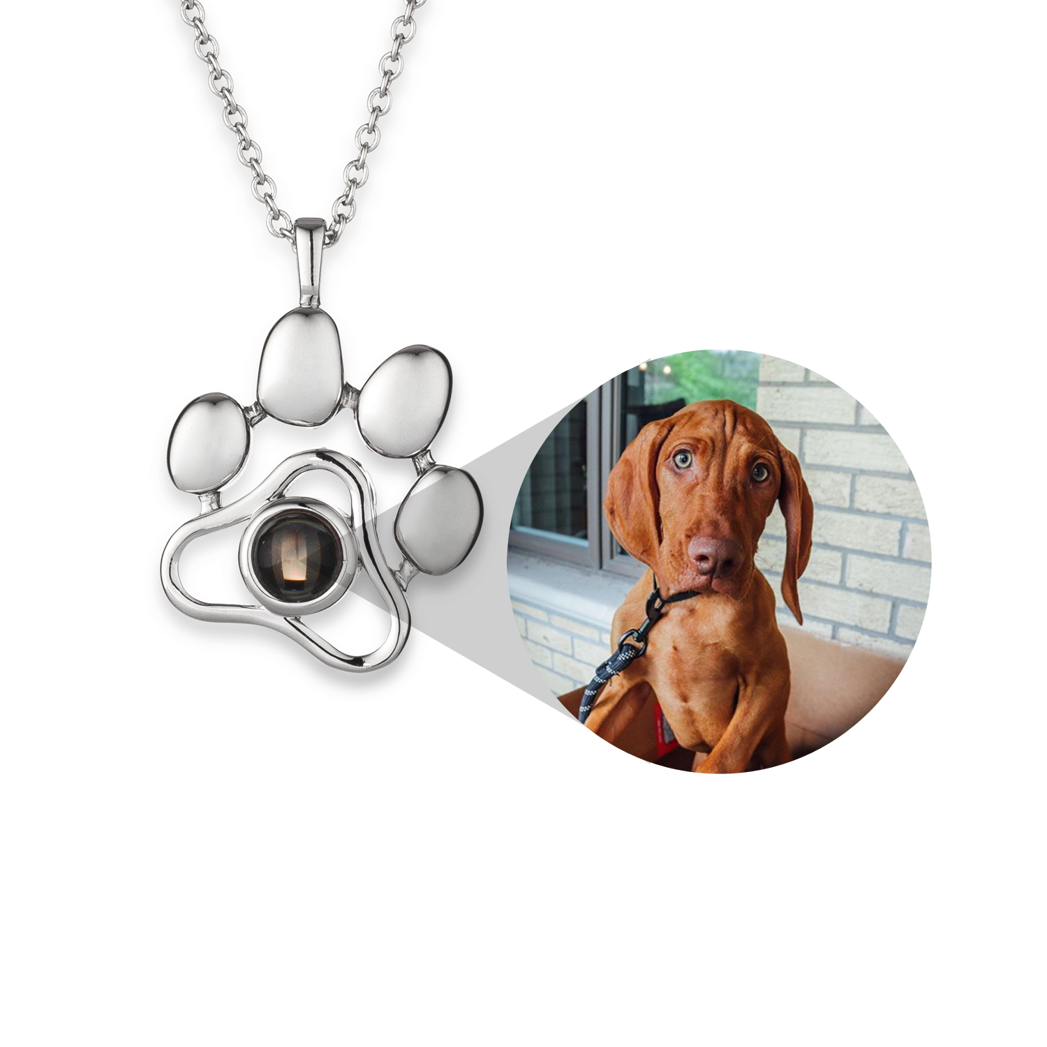 paw necklace with picture