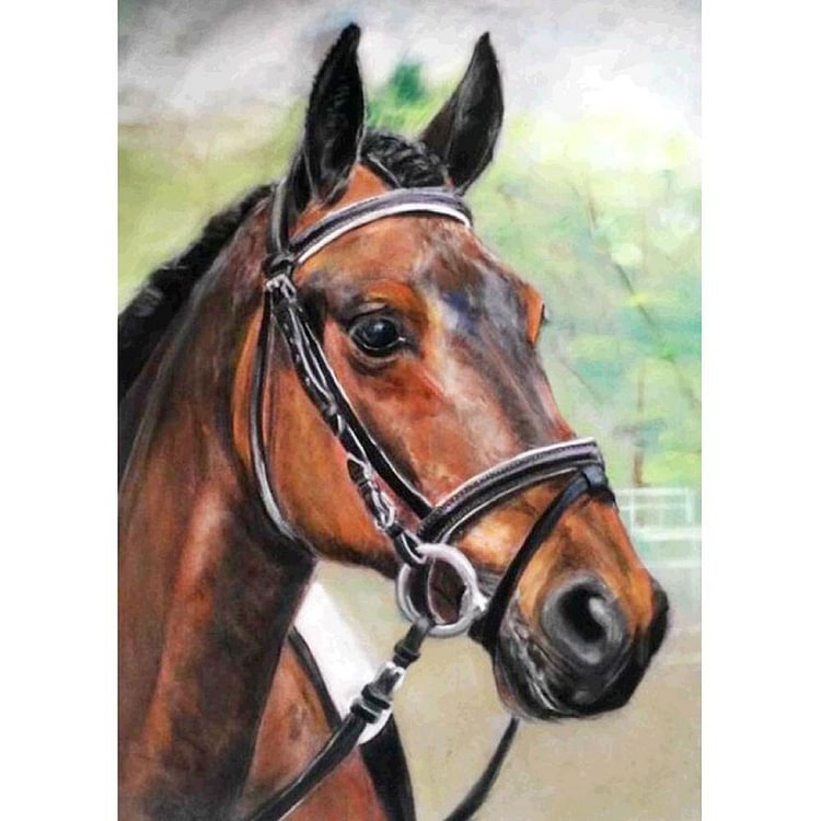 Horse Round Full Drill Diamond Painting 30X40CM(Canvas)-gbfke