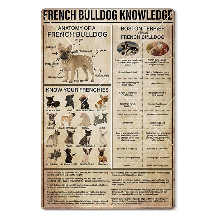 French Bulldog - Vintage Tin Signs