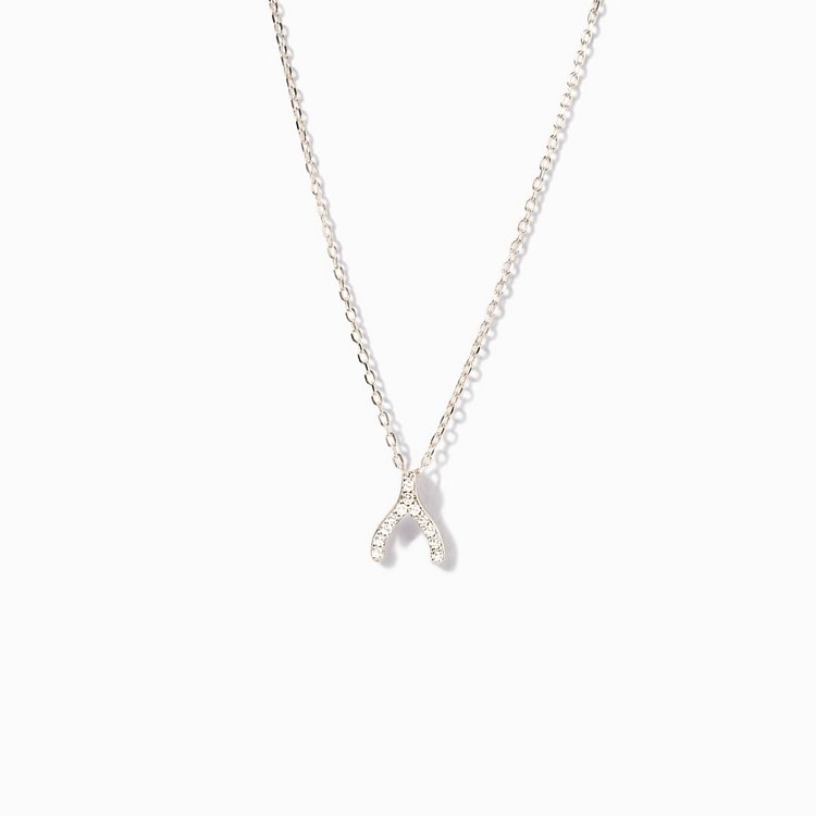 How Special You Are To Me Wishbone Necklace