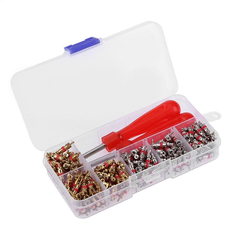242pcs/set Car A/C Air Conditioning R134a Valve Cores+ Remover Tool Kit