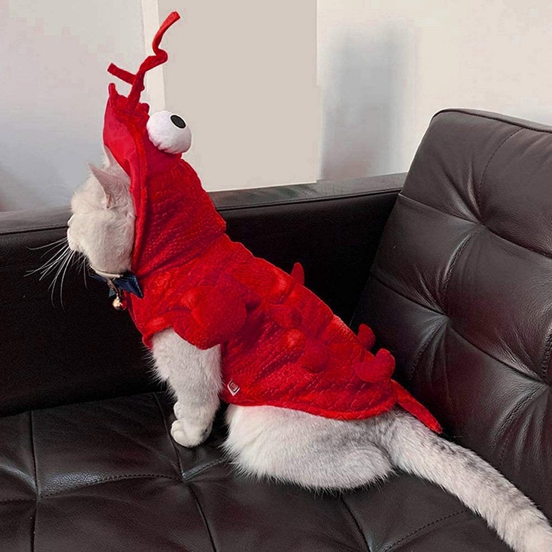 Lovepetplus - Halloween Lobster Pet Costume  