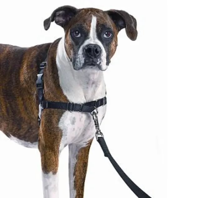 PetSafe Easy Walk Black Dog Harness