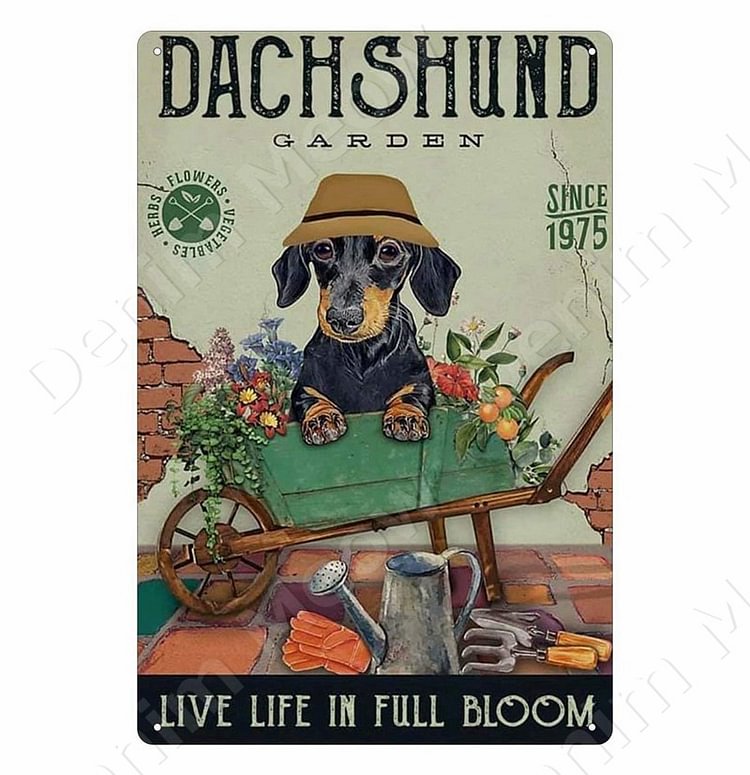 Dachshund Dog -Vintage Tin Signs