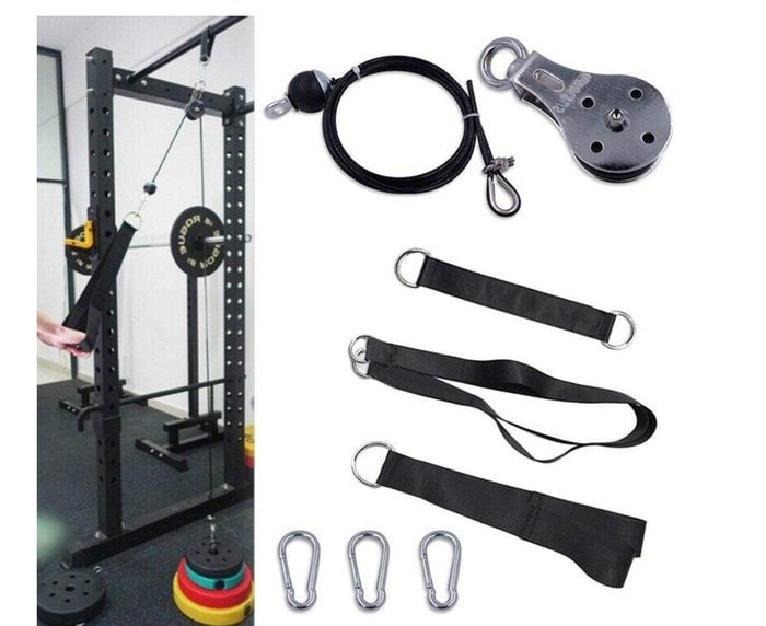 THE ULTIMATE HOME GYM ACCESSORY The Ultimate Home Gym Accessory - tree - Codlins