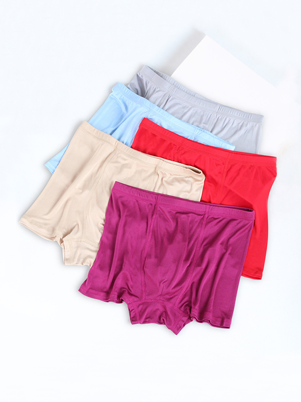 Silk Boxer Briefs Comfortable Underwear 5-Pack