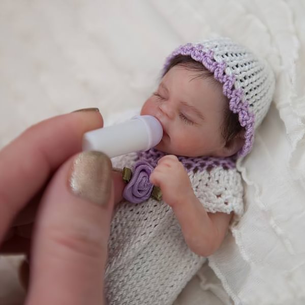 Miniature Doll Sleeping Reborn Baby Doll, 5 inch Realistic Newborn Baby Doll Named Kehlani