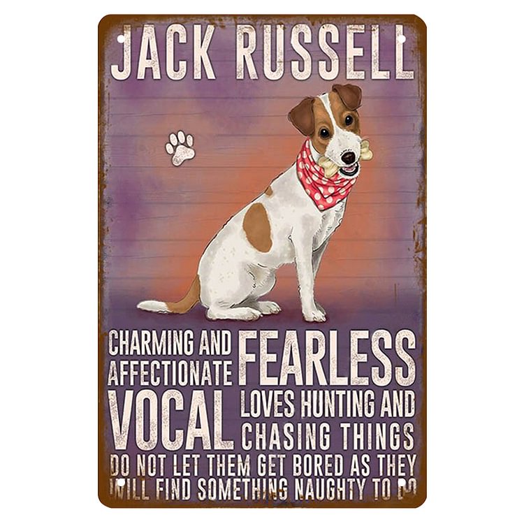 Jack Russell Terrier Dog - Vintage Tin Signs