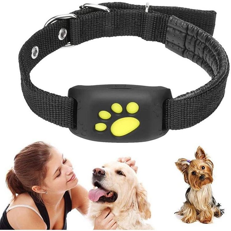 Smart GPS Cat and Dog Collar Tracker - Pet GPS Tracker
