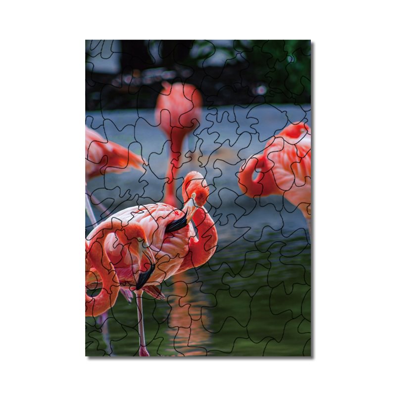 Flamingo flocks  Puzzle(CHRISTMAS SALE)-Ainnpuzzle