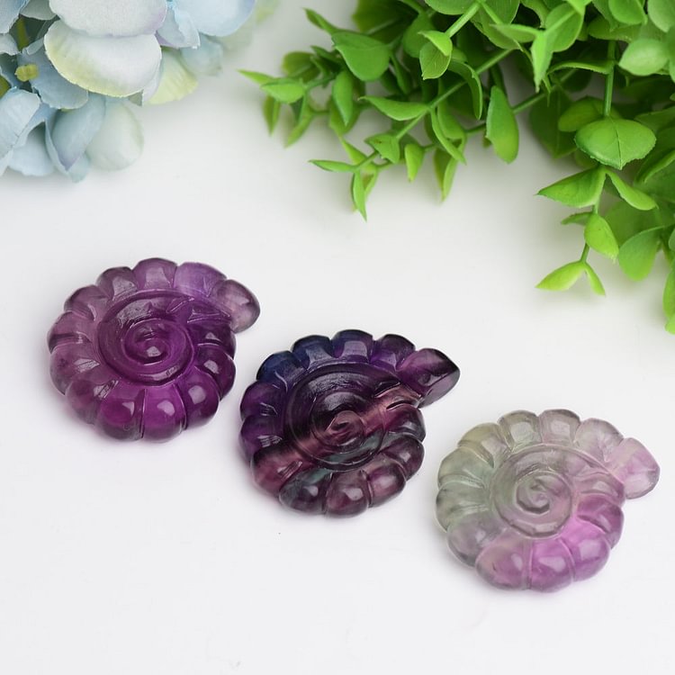 2.0" Fluorite Shell Crystal Carving Animal Bulk Crystal Wholesale Suppliers