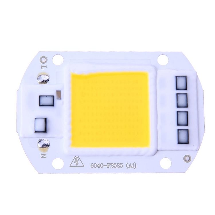 50W LEDs Floodlights COB Chip 220V Input Integrated Smart IC Driver
