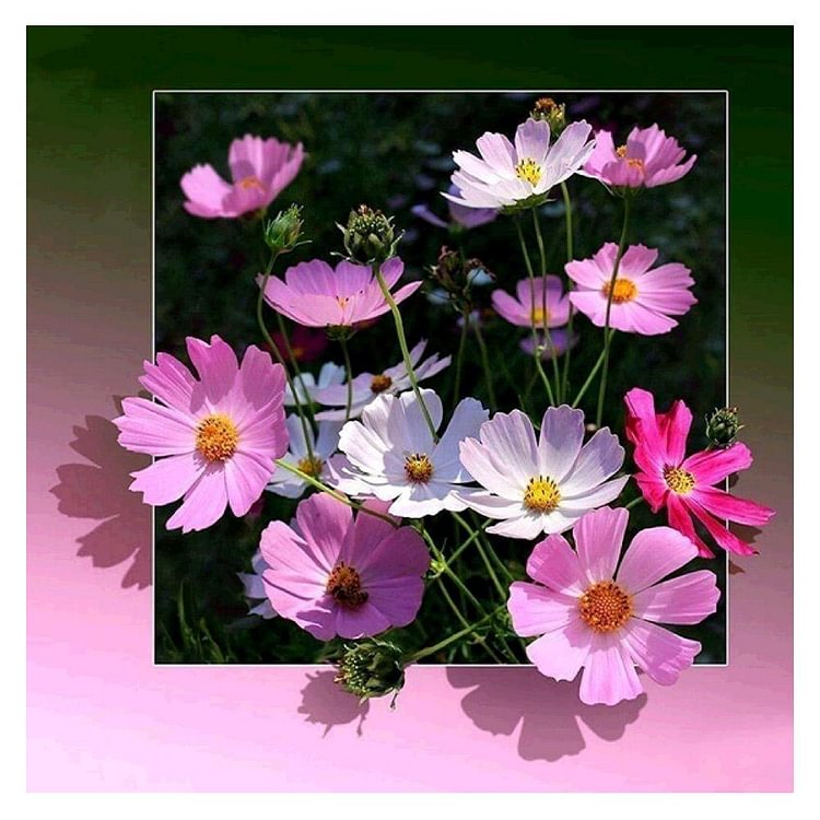 Pink Flowers Round Full Drill Diamond Painting 30X30CM(Canvas)-gbfke