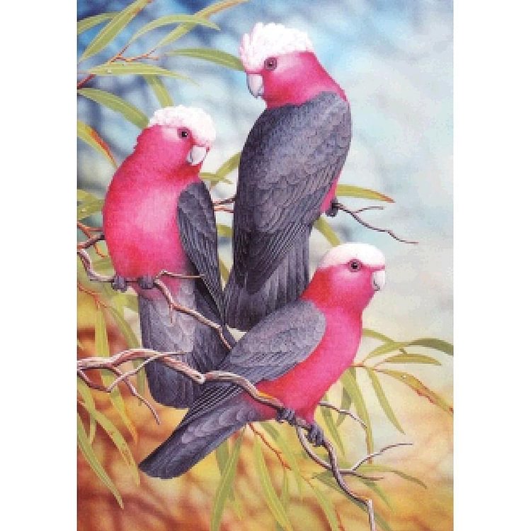 Parrots - Full Round Drill Diamond Painting - 40x30cm(Canvas)