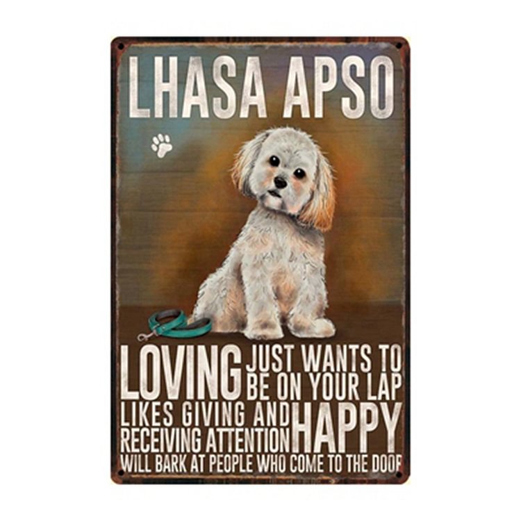 Lhasa Apso Dog - Vintage Tin Signs