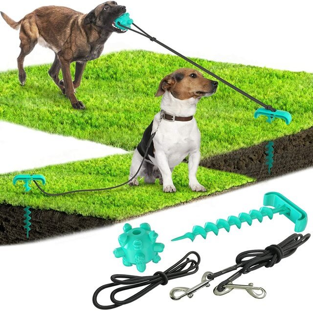 Dog Toys Outdoor Dog Tug Toy for Aggressive Chewers Floating On Water and Squeaky Jolly Egg for Small to Large Dogs - tree - Codlins