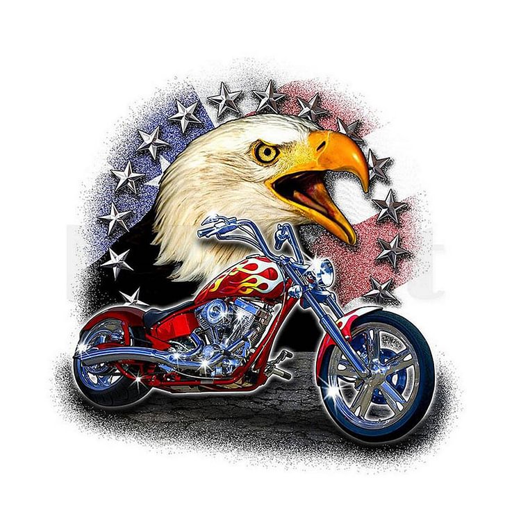 Eagle Motorcycle 50*50CM(Canvas) Full Round Drill Diamond Painting gbfke