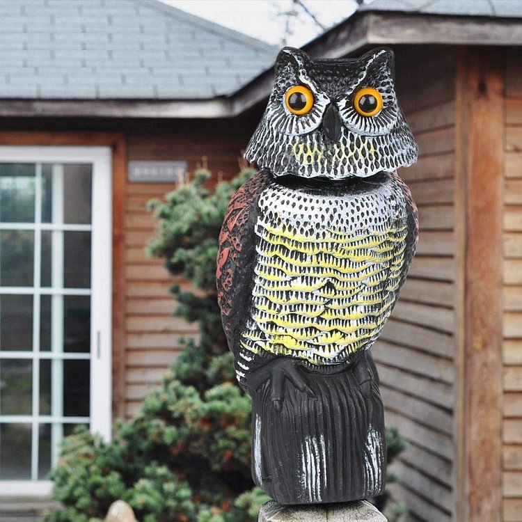 Realistic Birdcage Plastic Owl Scarecrow With Rotating Head And Sound - tree - Codlins
