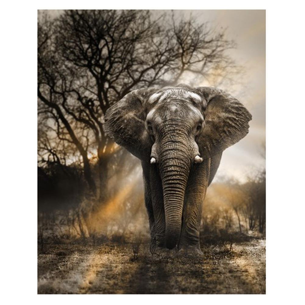 Full Round Diamond Painting Elephant (40*30cm)