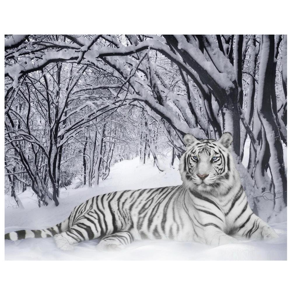 Full Round Diamond Painting White Tiger  Craft (40*30cm)