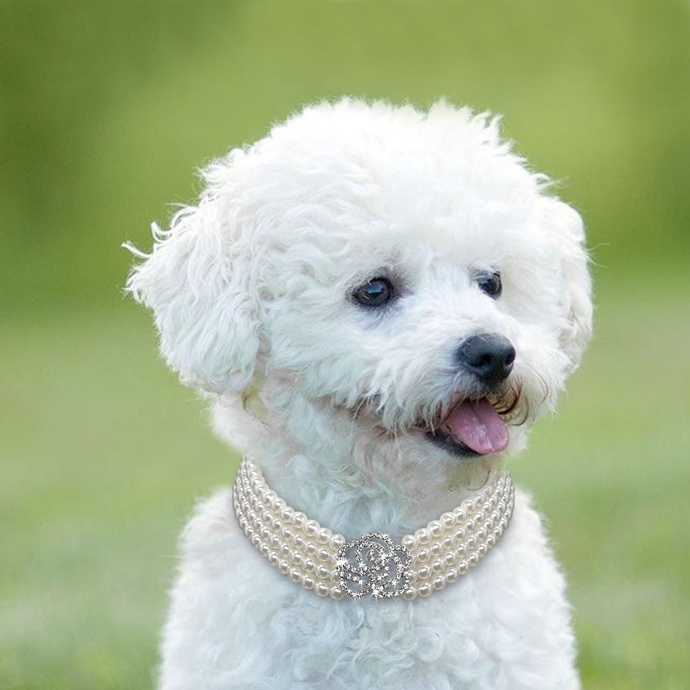 Pearl&Rhinestone Puppy Cat Collar Dog Chains Necklace Jeweled Pet Accessories-VESSFUL