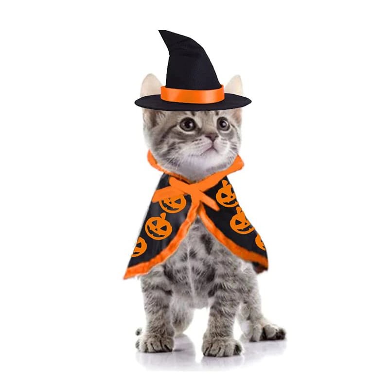 Wizard Witch Hat Cape Pumpkin Halloween Pet Costume-VESSFUL