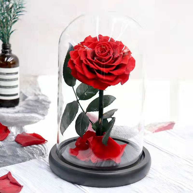 Forever Rose in Glass Dome With Gift Box Valentines Gifts For Her