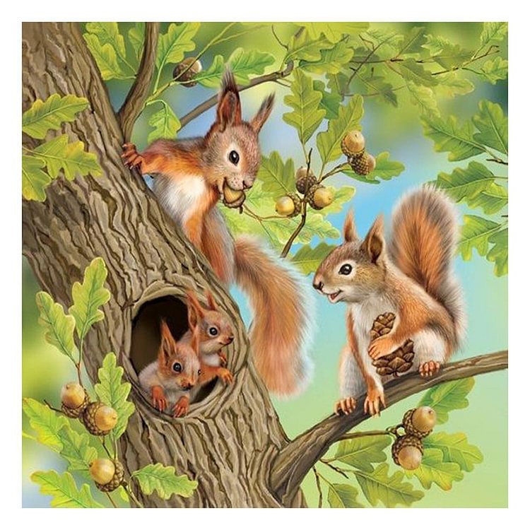 Squirrel - Full Round Drill Diamond Painting - 30x30cm(Canvas)