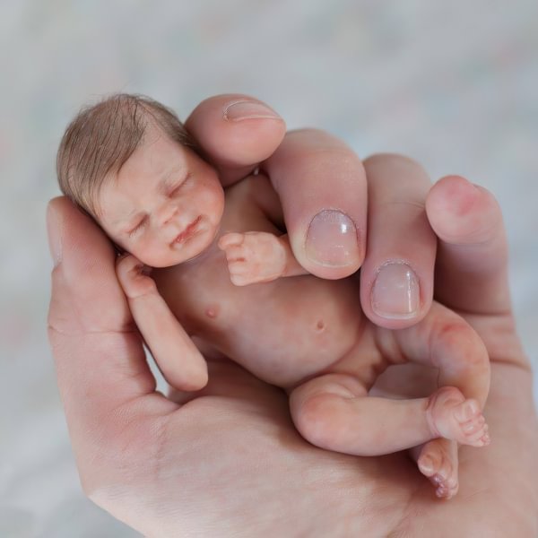 Miniature Doll Sleeping Reborn Baby Doll, 5 inch Realistic Newborn Baby Doll Named Andrea