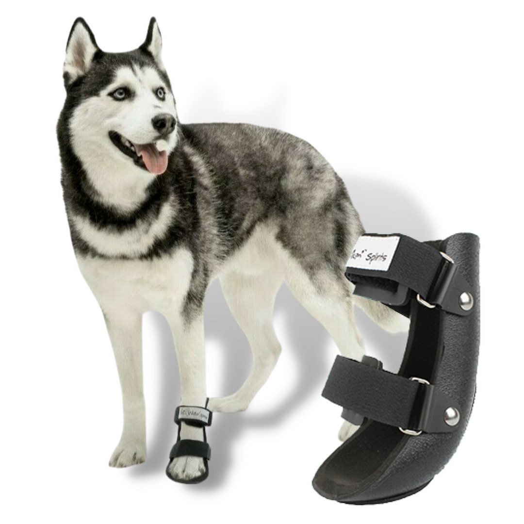 Pet Splint for Dogs Bootie Style - vzzhome