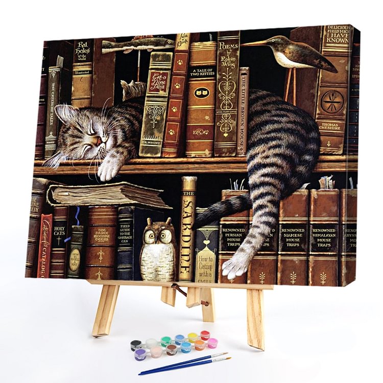 40*50CM Paint By Numbers-Cat Books