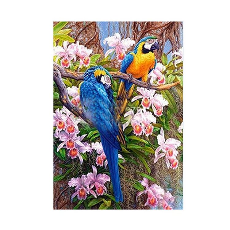 Two Parrot - Round Drill Diamond Painting - 30x40cm(Canvas)