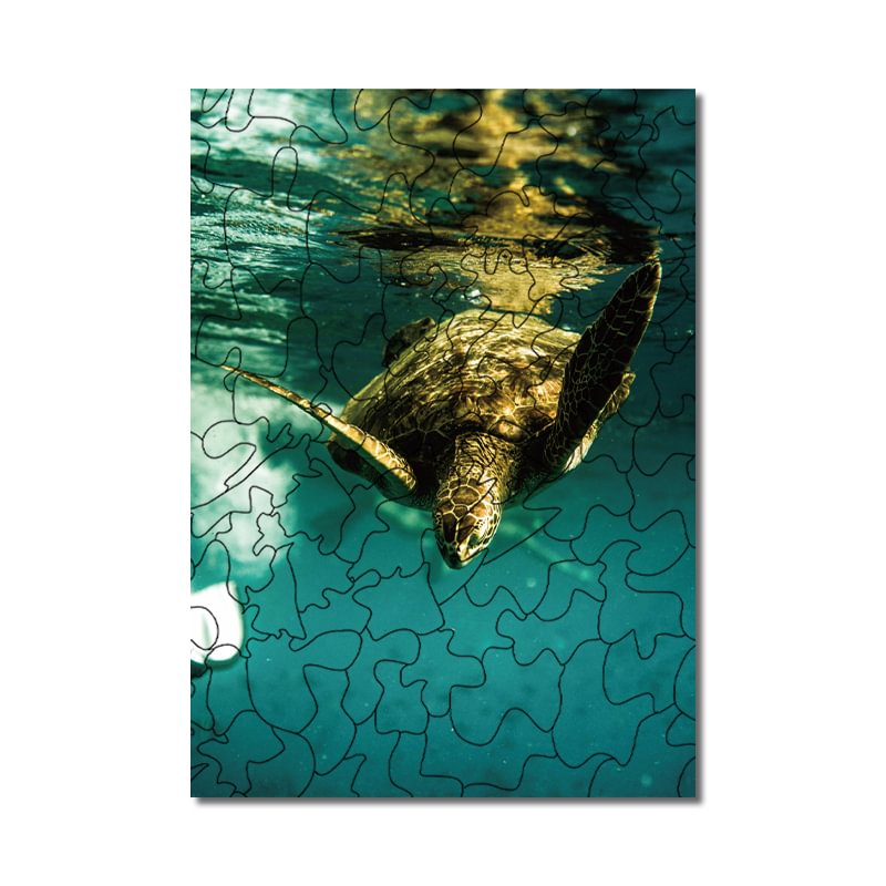 JEFFPUZZLE™-JEFFPUZZLE™ sea turtles Puzzle