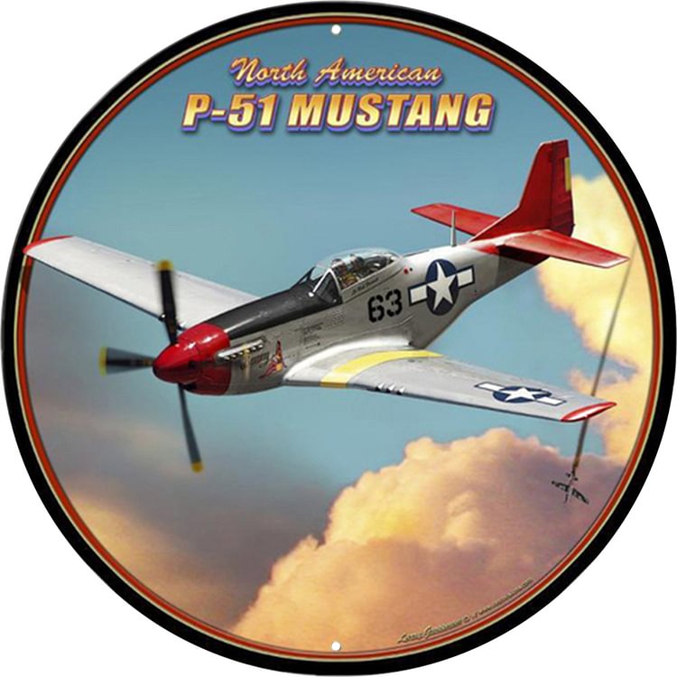 Aircraft -Round Tin Signs - 30*30CM