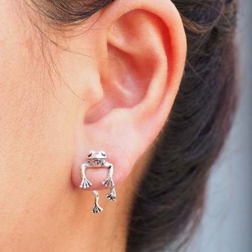 Minnieskull Retro Funny Frog Women's Earrings - Minnieskull