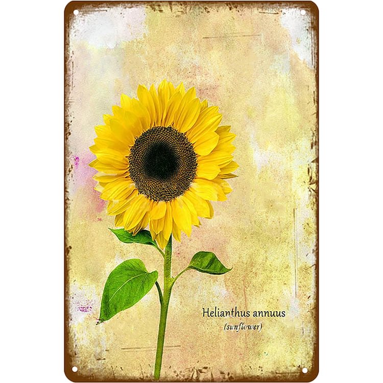 Sunflower - Vintage Tin Signs/Wooden Signs - 20x30cm & 30x40cm