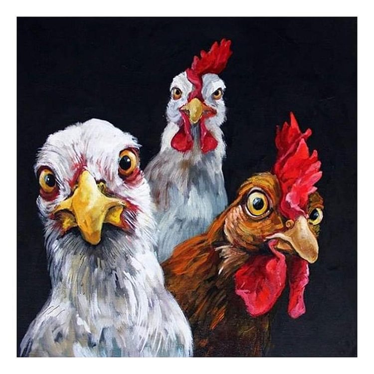 Chicken-Full Round Diamond Painting-30*30CM