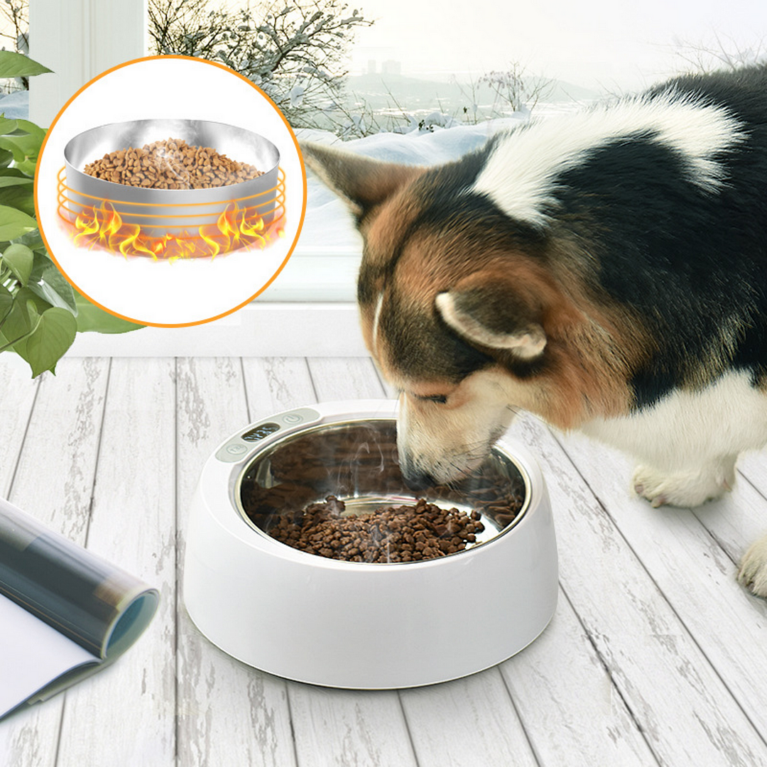 Electric Heated Pet Feeder Bowl - vzzhome