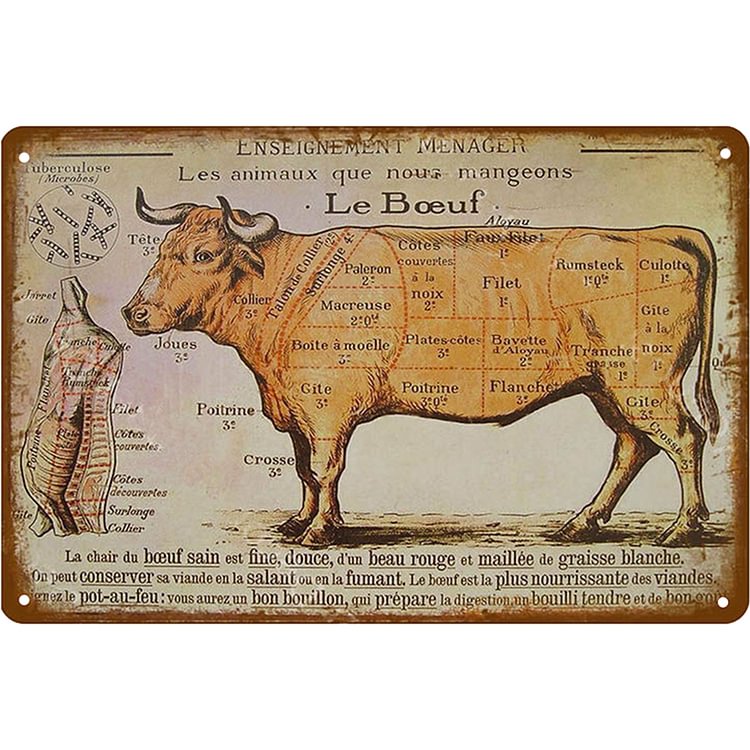 Cow - Vintage Tin Signs/Wooden Signs - 20x30cm & 30x40cm