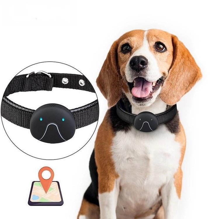 GPS Dog Tracker Collar With Voice Command - tree - Codlins