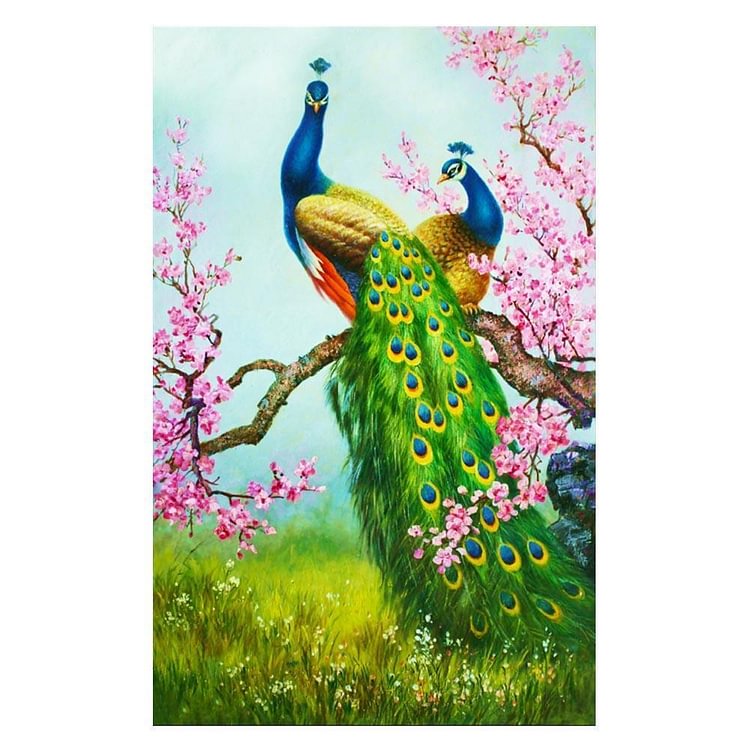 Peacock - Partial Round Drill Diamond Painting - 30x54cm(Canvas)