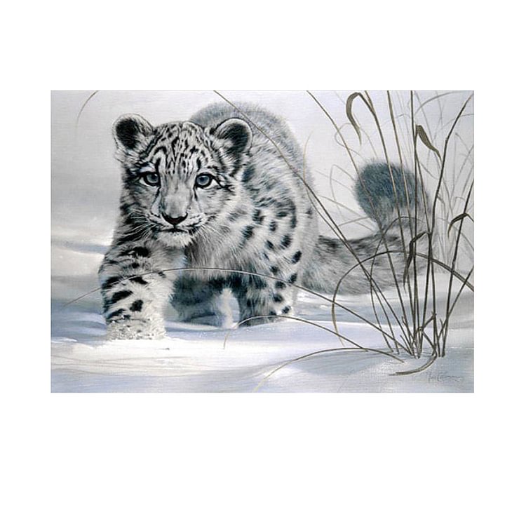 Snow Leopard Round Drill Diamond Painting 40X30CM(Canvas)-gbfke