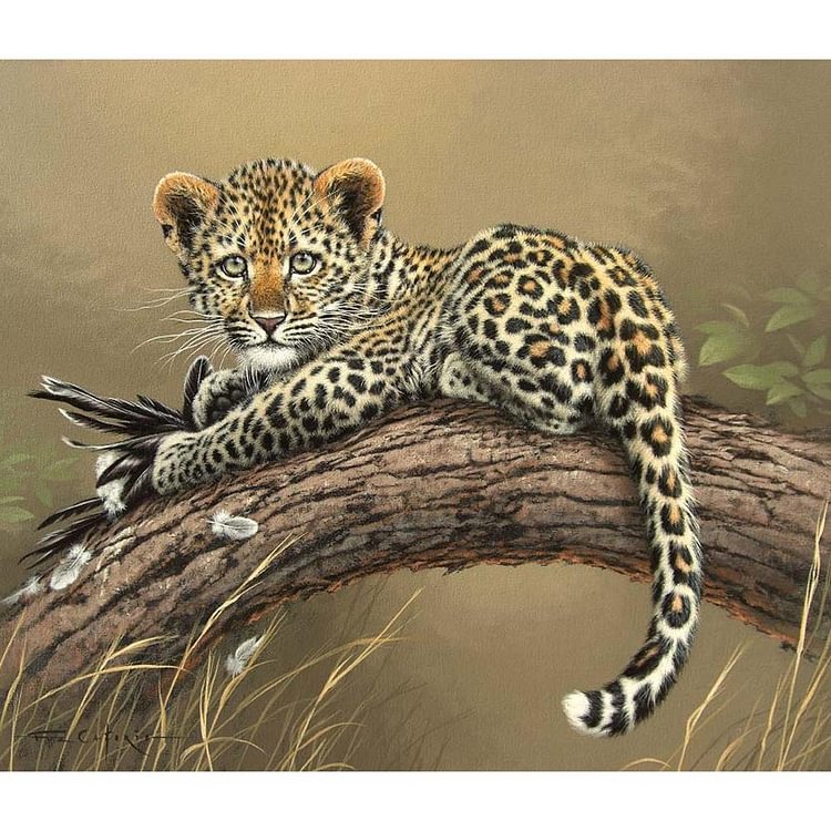 Leopard - Round Drill Diamond Painting - 30*30CM