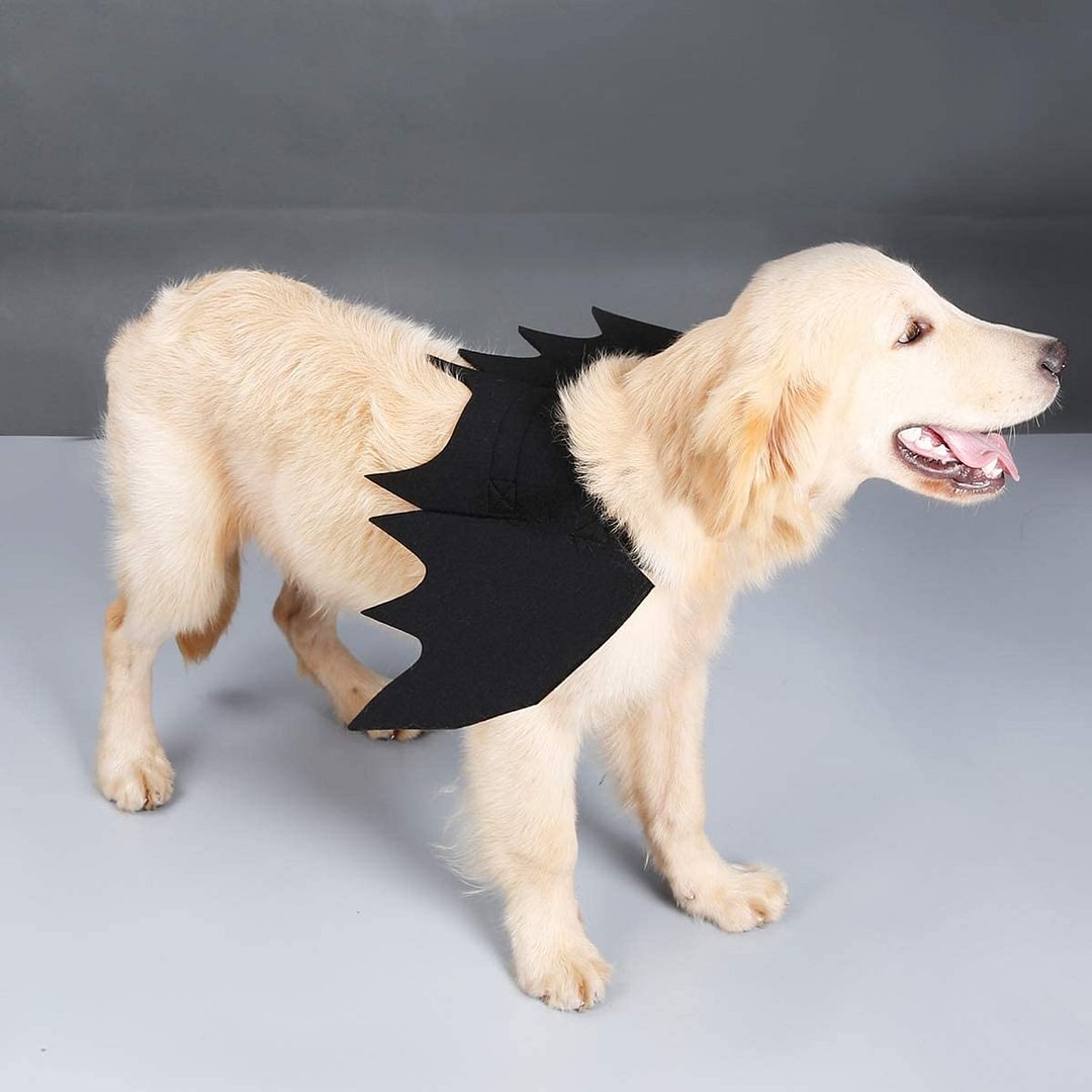 Dog Bat Wing Costume For Halloween, Pet Halloween Party Dress Up Costume For Cat And Small Medium Large Dog - vzzhome