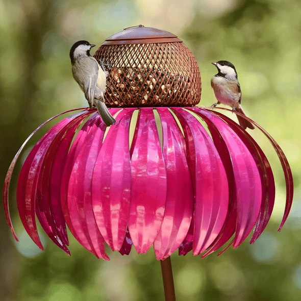 Sensation Pink Coneflower Bird Feeder - Sean - Codlins