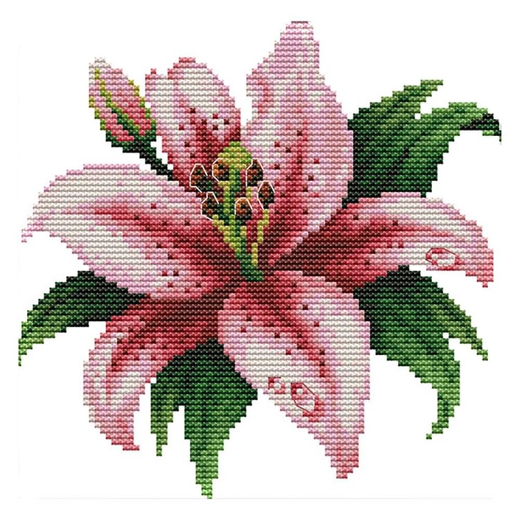Blooming Lily - 14CT Stamped Cross Stitch - 21*20cm