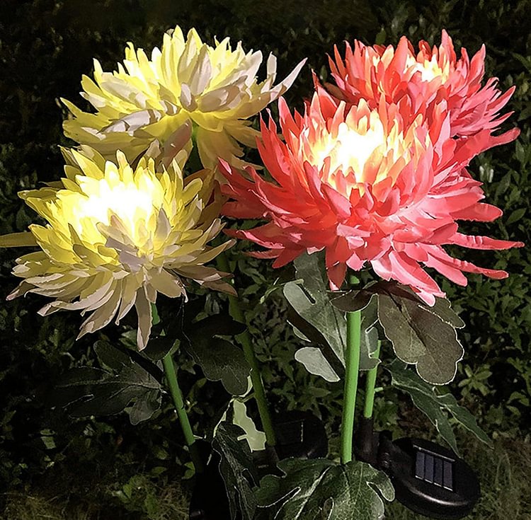 Solar LED Light Artificial Chrysanthemum Flower (3 Pack) - Sean - Codlins