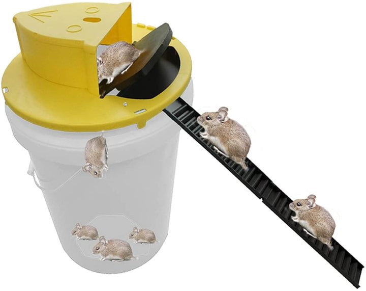 FlipTrap – Flip and Slide Bucket Lid Mouse Trap