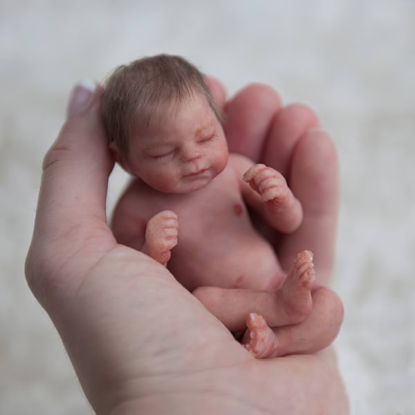 Miniature Doll Sleeping Full Body Silicone Reborn Baby Doll, 5 Inches Realistic Newborn Baby Doll Named Reign