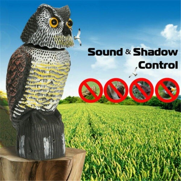 Natural Enemy Scarecrow Rotating-Head Owl - tree - Codlins